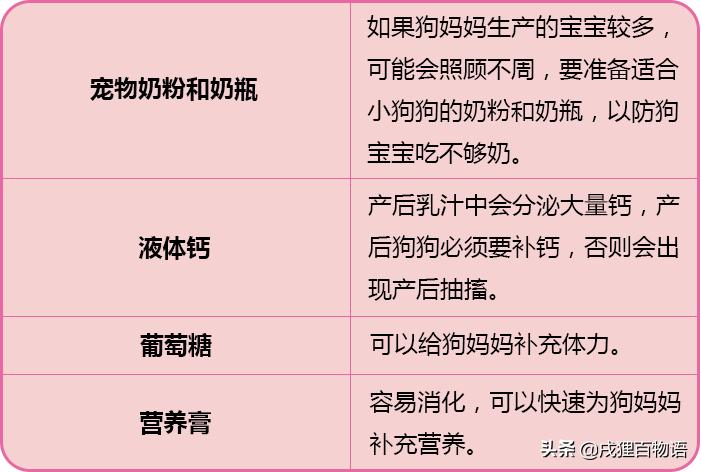 狗狗要生小狗了有什么症状,狗狗要生小宝宝时是什么现象