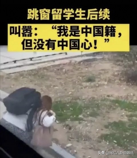 有这么一群人，薅着中国人的羊毛，硬舔着它国