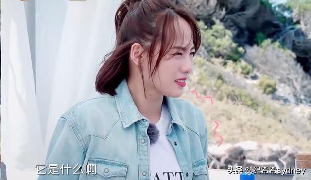 妻子2包文婧袁咏仪,妻旅章子怡汪峰