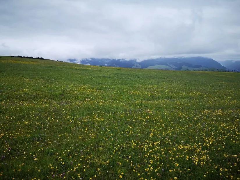 喀拉峻穿越琼库什台几天,喀拉峻穿越琼库什台