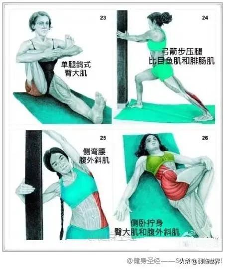 打完球要拉伸有什么作用,松解球怎么松解背部