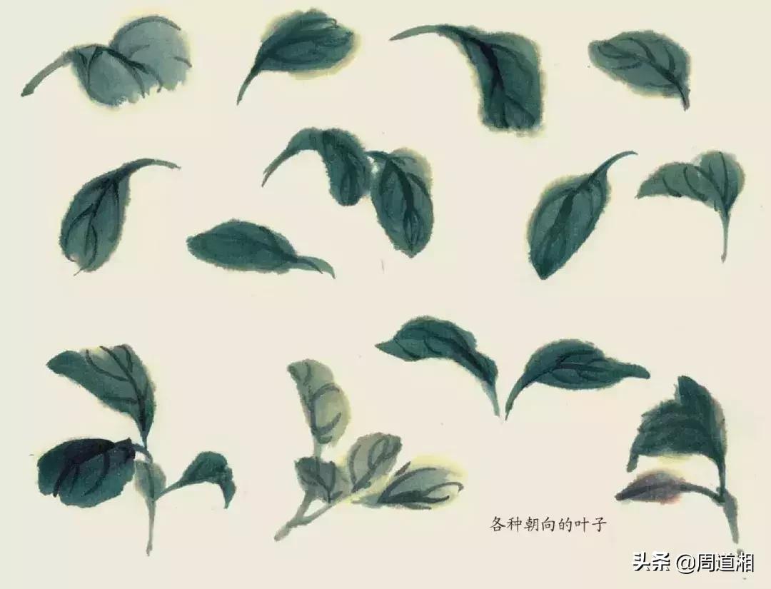 国画花卉大全教程视频,花卉小品国画图片大全