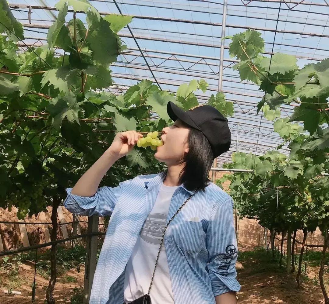 淄博免费领门票,淄博周边免票
