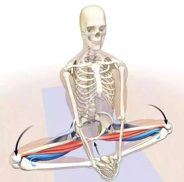 产后子宫脱垂用做盆底肌修复么,产妇盆底肌脱垂用什么办法修复