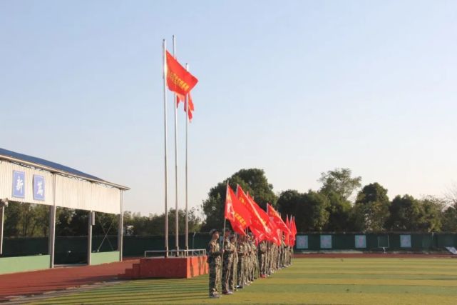 走进绿色军营的感受,绿色军营青春绽放