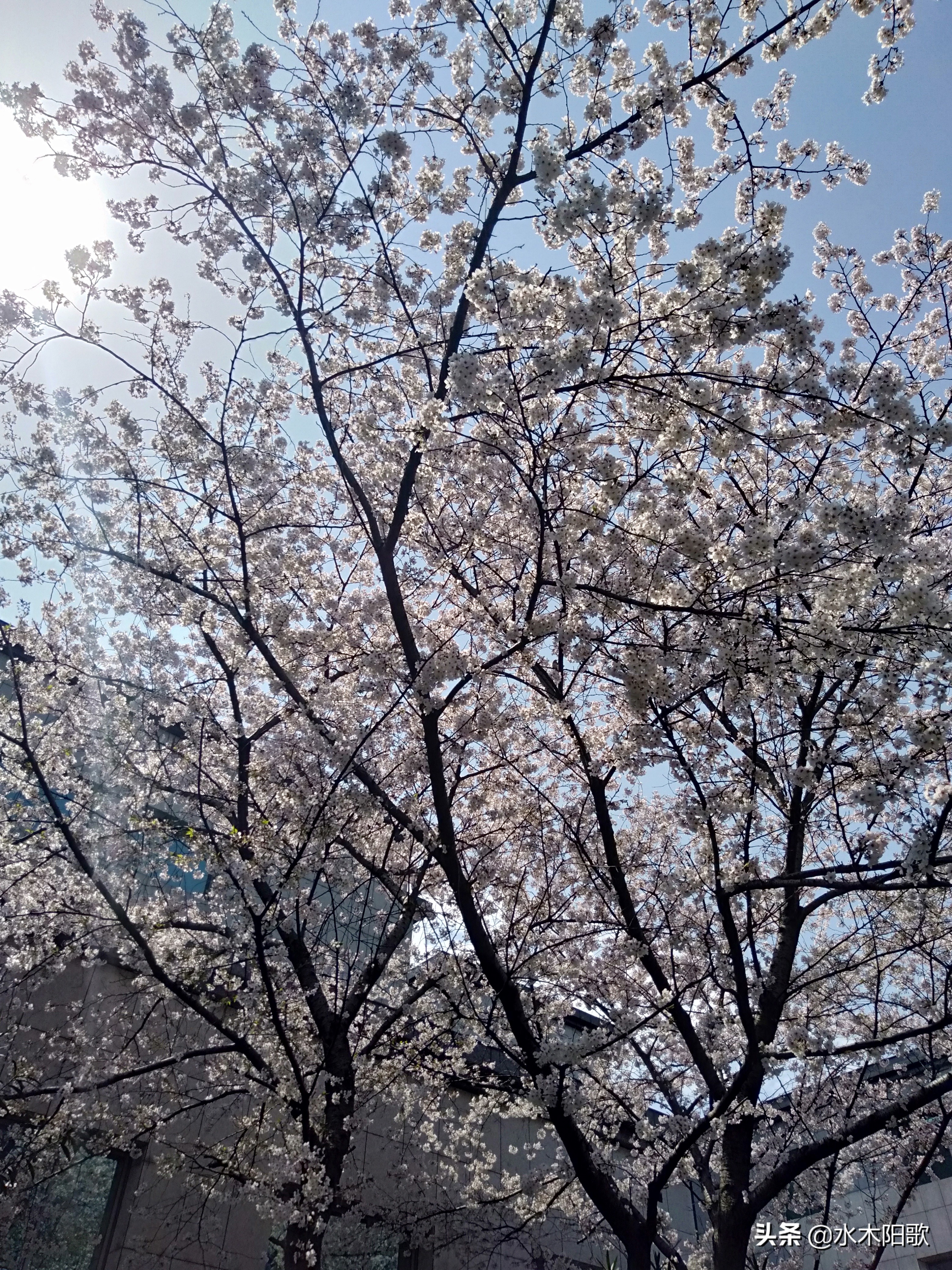 关于供销合同的法律常识,发票供销流程