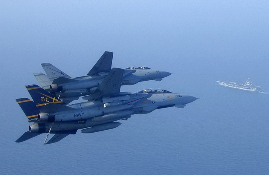 猫咪需要哪些用品,猫迷惑新技能