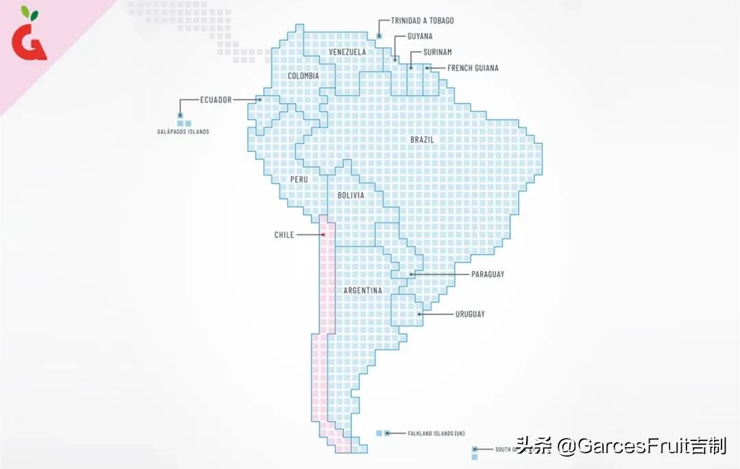 智利车厘子10大品牌,智利车厘子介绍视频