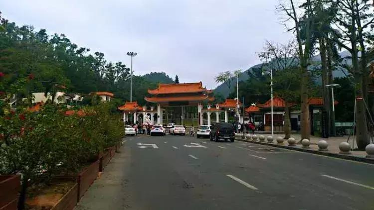 美翻了！过年到香港看烟花，23888枚闪亮夜空！还有……