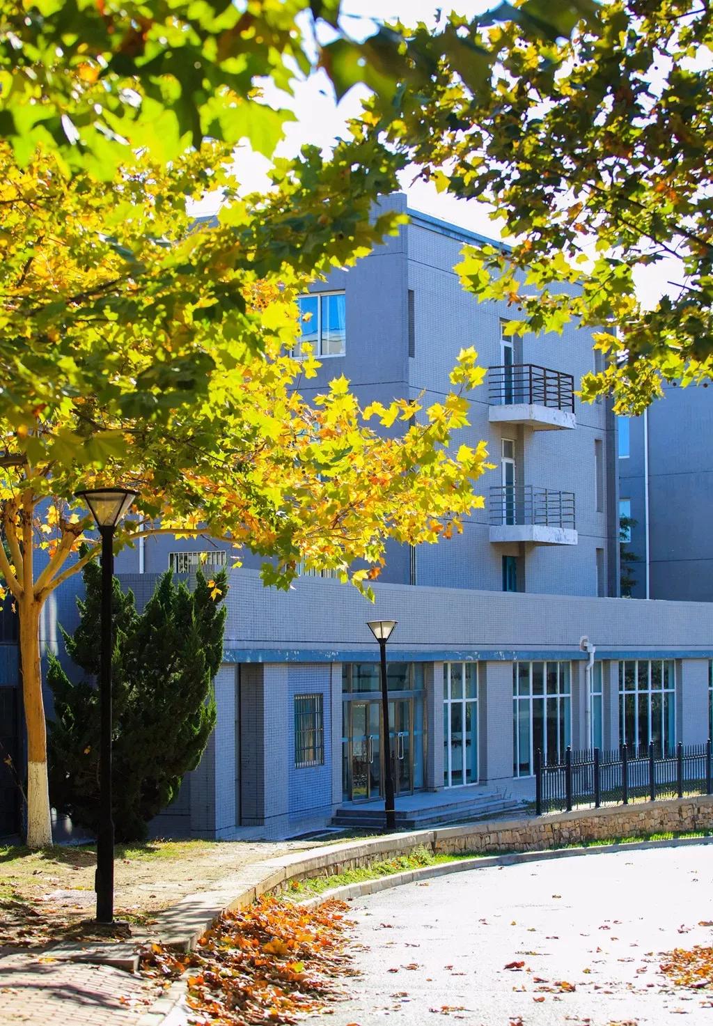 辽宁大连民办大学,大连辽宁二本大学