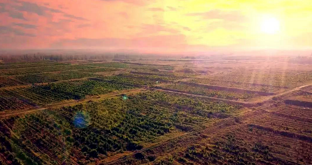 法国红酒和智利红酒哪个好,法国红酒哪个值得买