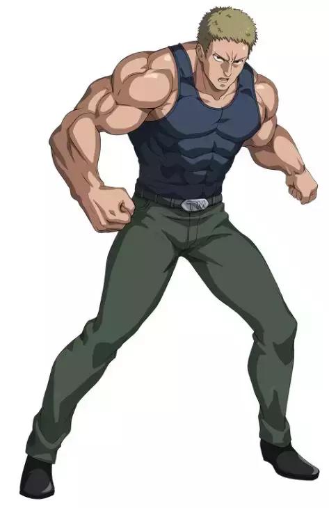 一拳超人手游伤害最高s级英雄,一拳超人排名s级前十的英雄