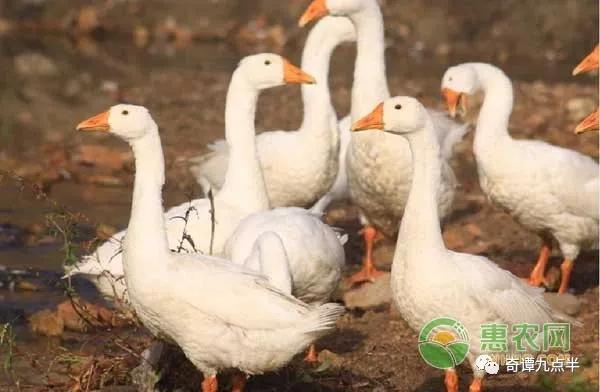 辽宁铁岭市级行政区,辽宁省铁岭城市介绍