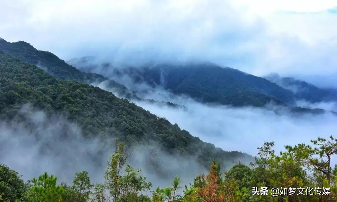 云尚品名优企业展|斗记茶业：弘扬茶文化，打造客家茶园综合体