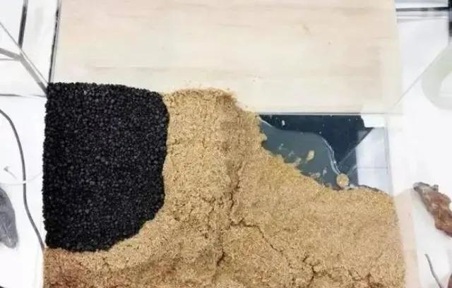 本色水景雨林,本色水景假山