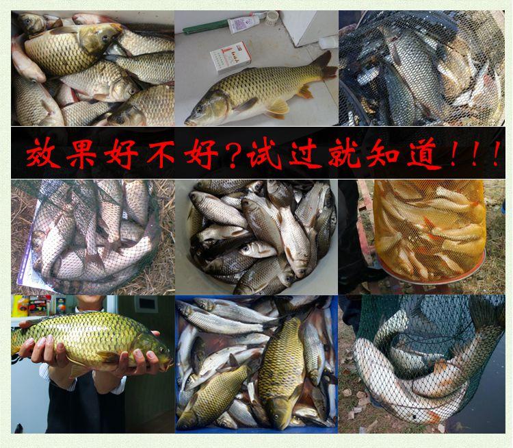 dmpt钓鱼小药是配饵料还是打窝用,dmpt配什么东西有特效诱鱼作用