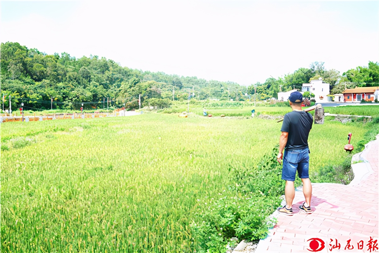 “红绿”底色绘就奔康彩虹路——陆河县河口镇北中村见闻