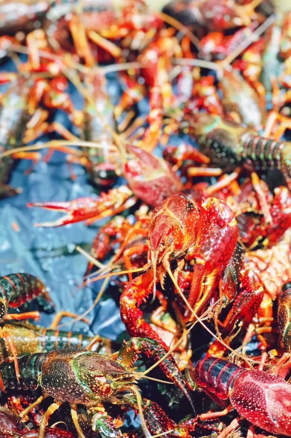 西安批发市场大全,西安最全批发市场地址