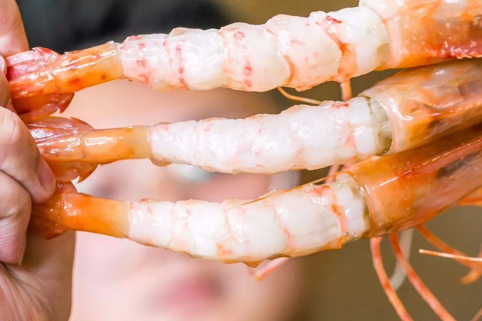 航母海鲜自助,陆家嘴自助帝王蟹