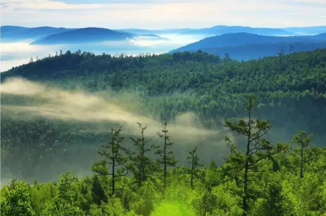 星辰大海追逐梦想,星辰大海奔赴山海
