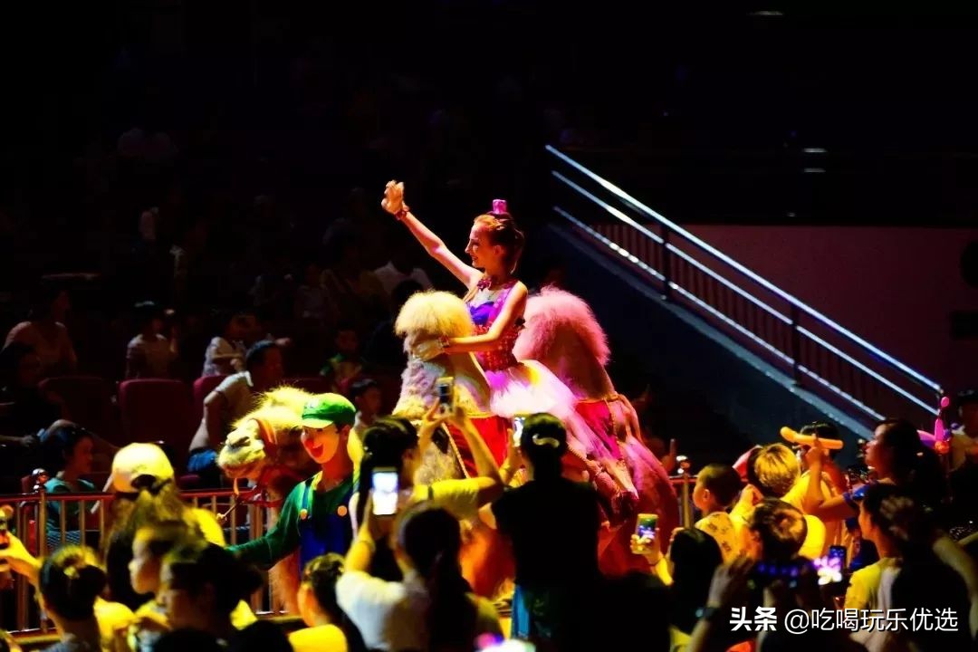 厦门灵玲动物王国大熊猫,厦门马戏团灵玲动物王国观光游览