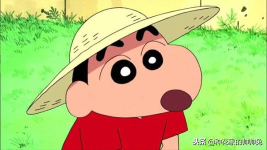 90后看过的日本动漫,哪部动漫是90后的童年