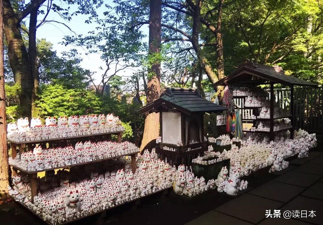 日本小众玩具,日本的那些奇怪玩具