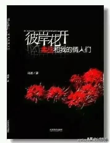 彼岸花小说大结局,小说彼岸花开第十七章