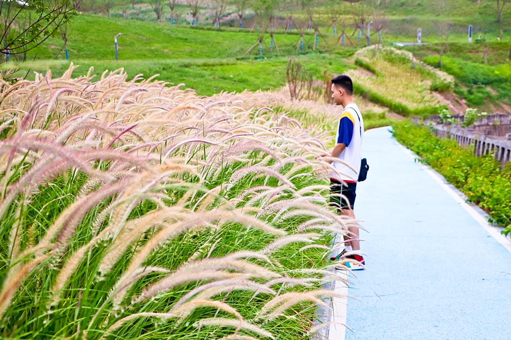 泸州新建的足球场有哪些,泸州大型公园