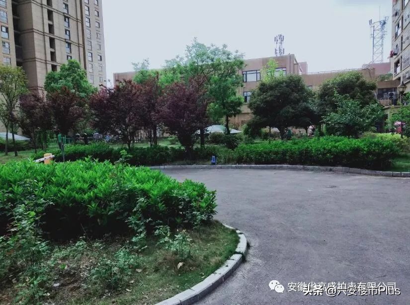 六安特价房源50万以下,六安房价急售