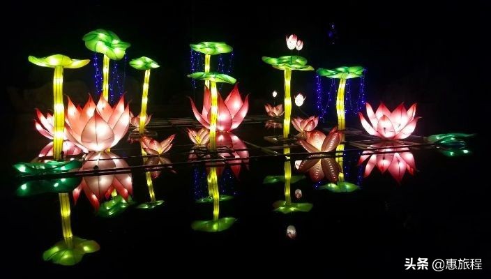 花世界灯展,东西湖花世界灯光节