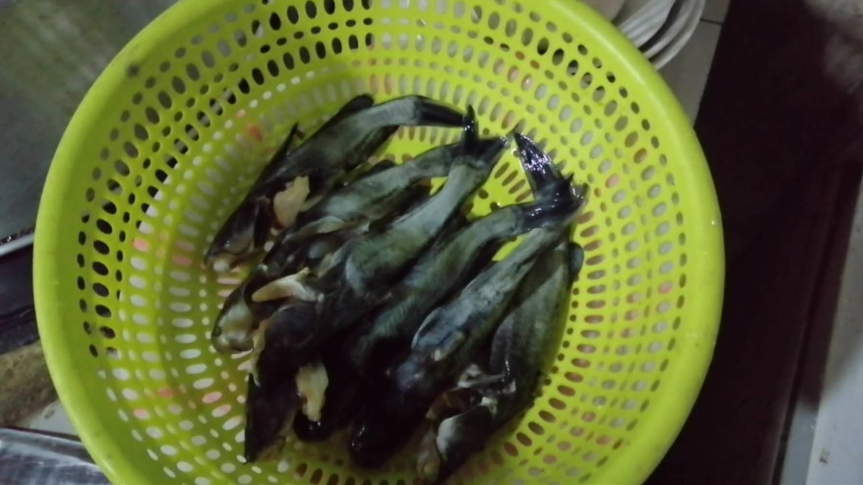 农村老爸用蚯蚓钓了一堆黄颡鱼，看他如何快速去除昂刺鱼土腥味？