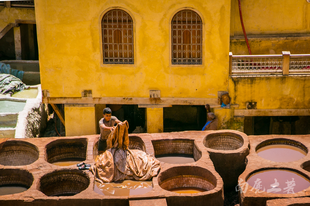 非洲这个城市这么臭，游人却每天排队参观