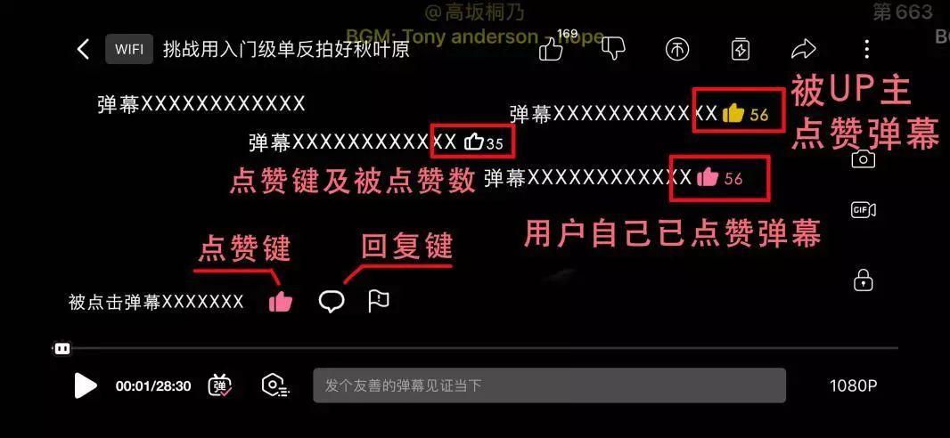 哔哩哔哩分析软件,哔哩哔哩数据分析