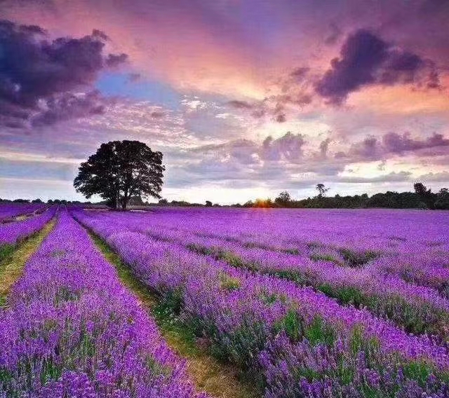 100个有文采的作文题目,那些让阅卷老师惊艳标题