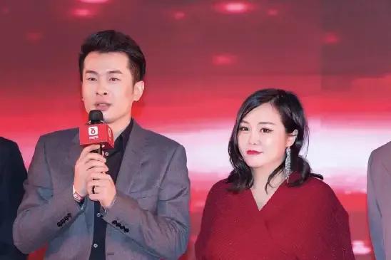 网红辛巴武汉疫情捐多少钱,辛巴为武汉捐款15亿的网红