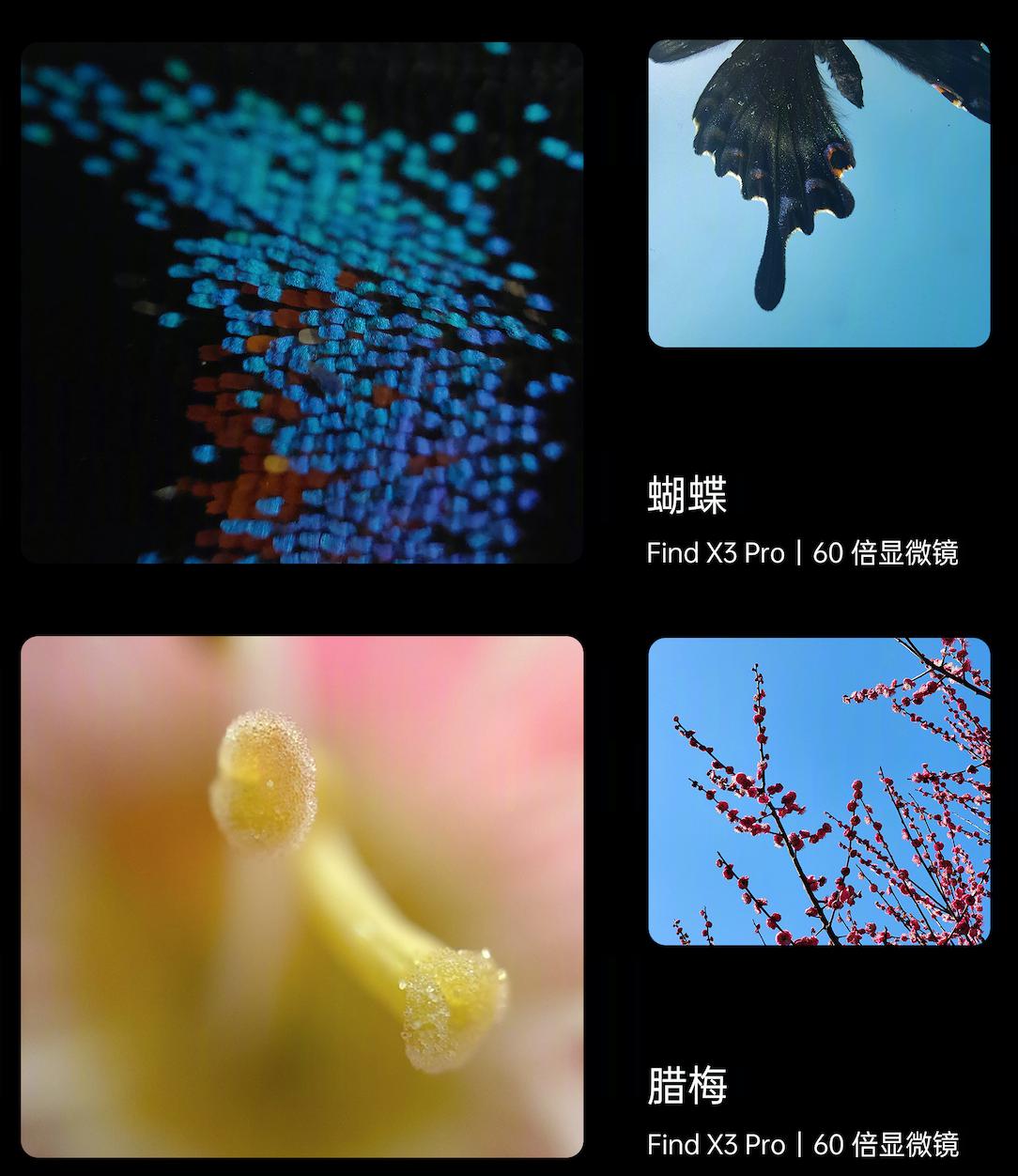 60倍显微镜拍照效果,oppo显微镜补光灯