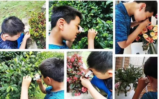 儿童显微镜真的靠谱吗,儿童显微镜吐槽