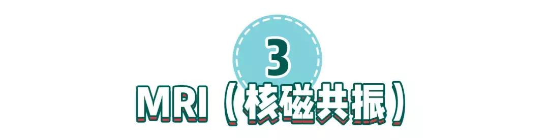 猫咪狗狗骨折了怎么办？扒一扒宠物“骨子里”的那些事