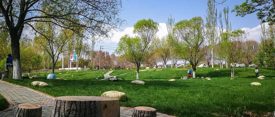 西安去乌鲁木齐动车或高铁 (从西安坐高铁到乌鲁木齐)