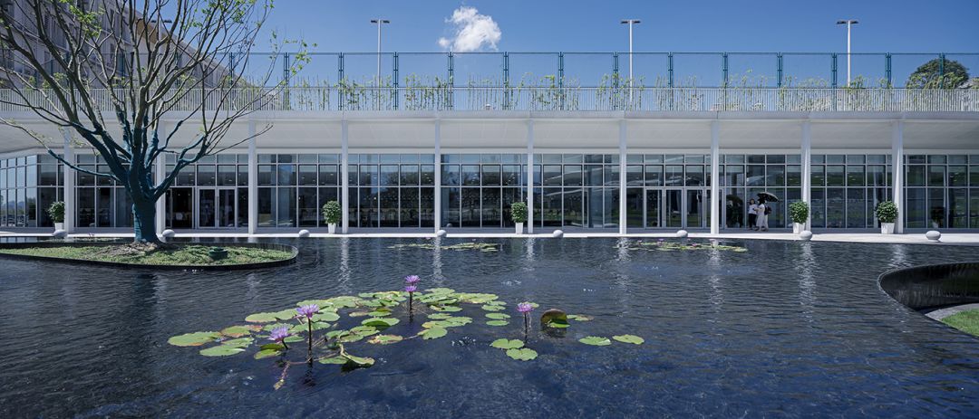 gad作品|十分校园：重庆南开两江中学