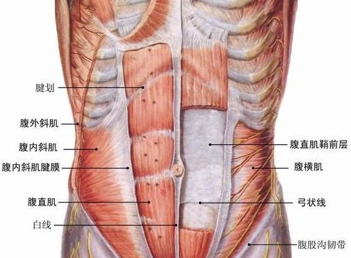 你的核心有多重,你的核心在哪里