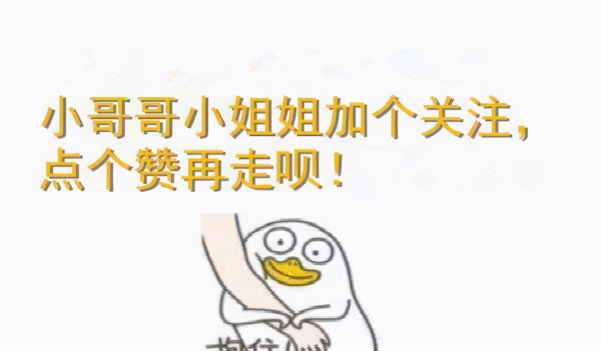 缅因猫一定要吃益生菌吗,喜喵猫粮适合缅因猫吃吗