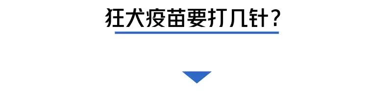 被猫狗咬伤如何正确处理,被猫狗咬伤十天了还能打针吗