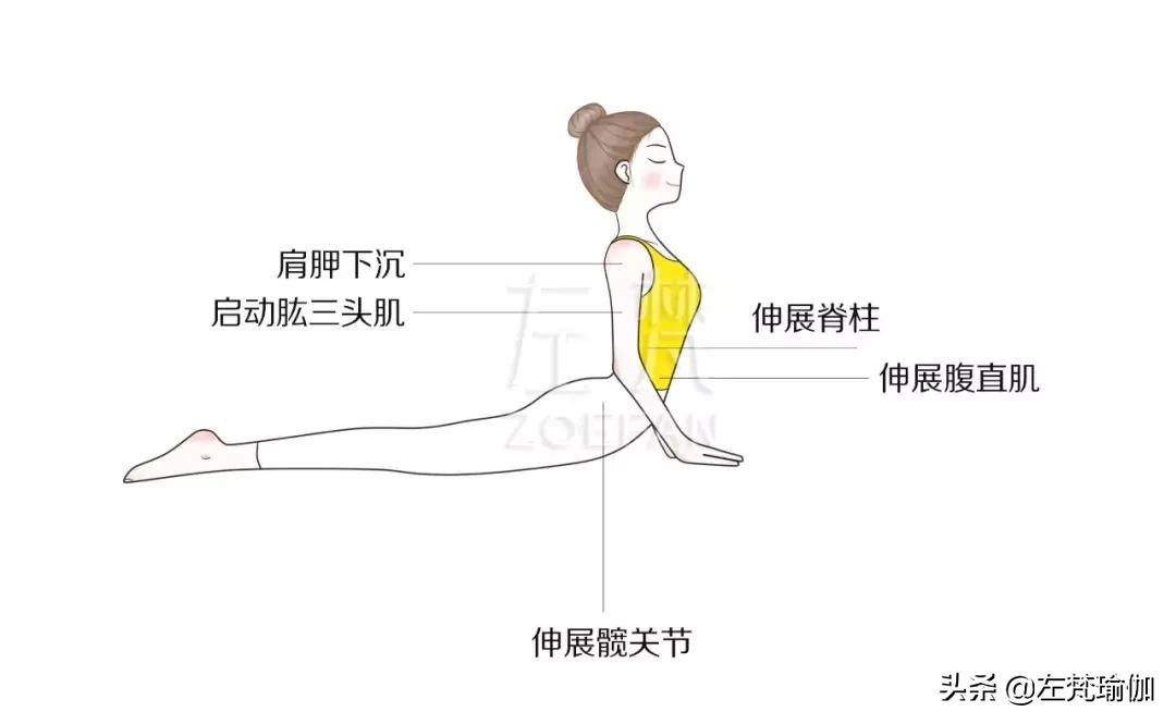 腰不好的人不建议尝试,腰粗怎么办最好的方法