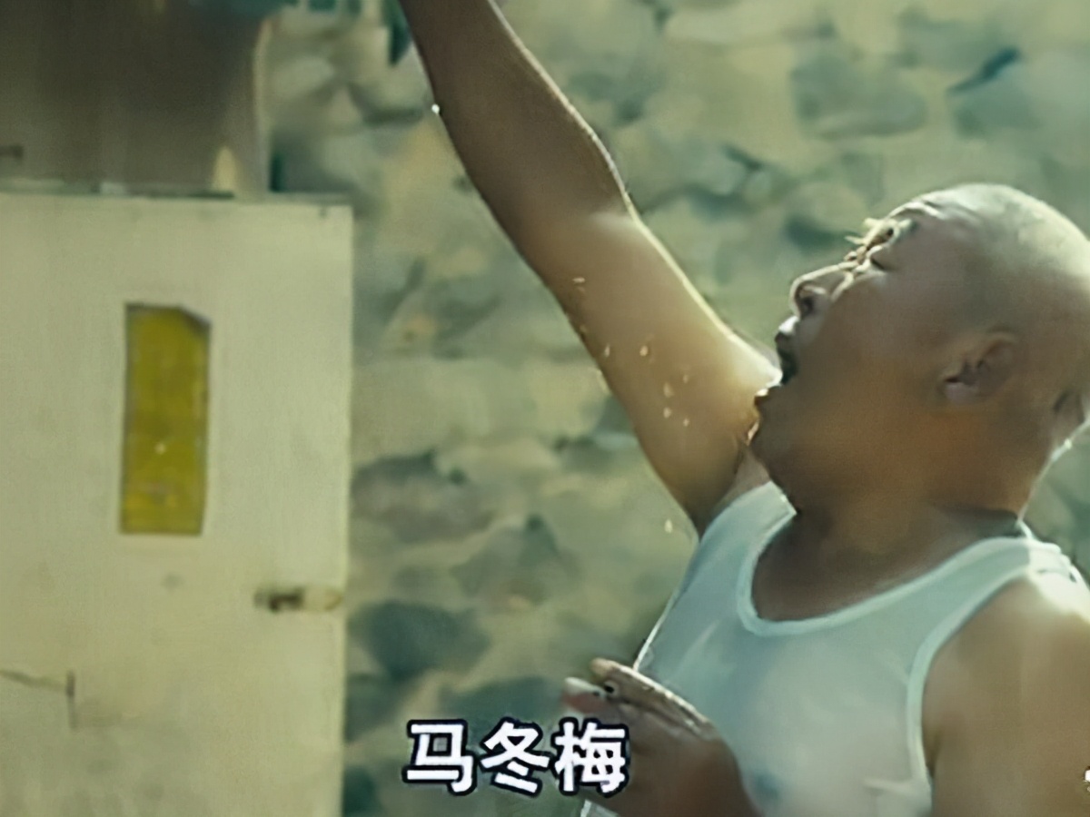 夏洛特烦恼幕后冷知识,夏洛特烦恼马丽沈腾宣传采访