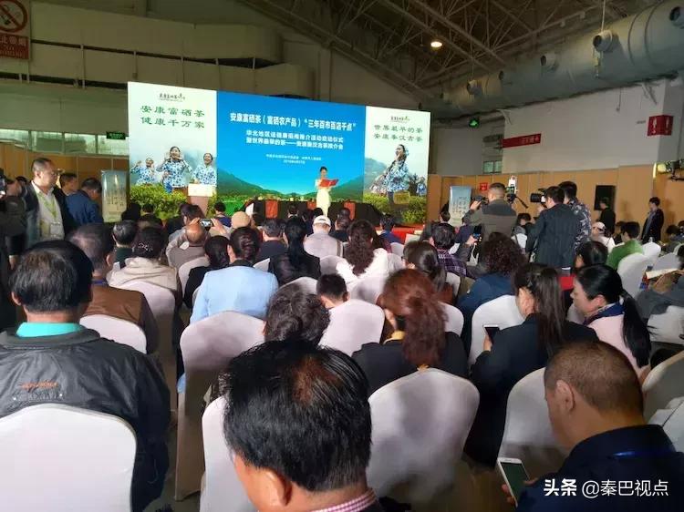 秦汉古茶价格,秦汉古茶图片