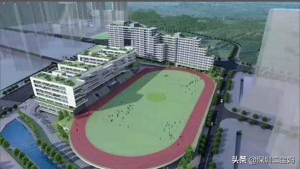 深圳2021年新增公办普高有哪些,2021深圳新增的公办高中
