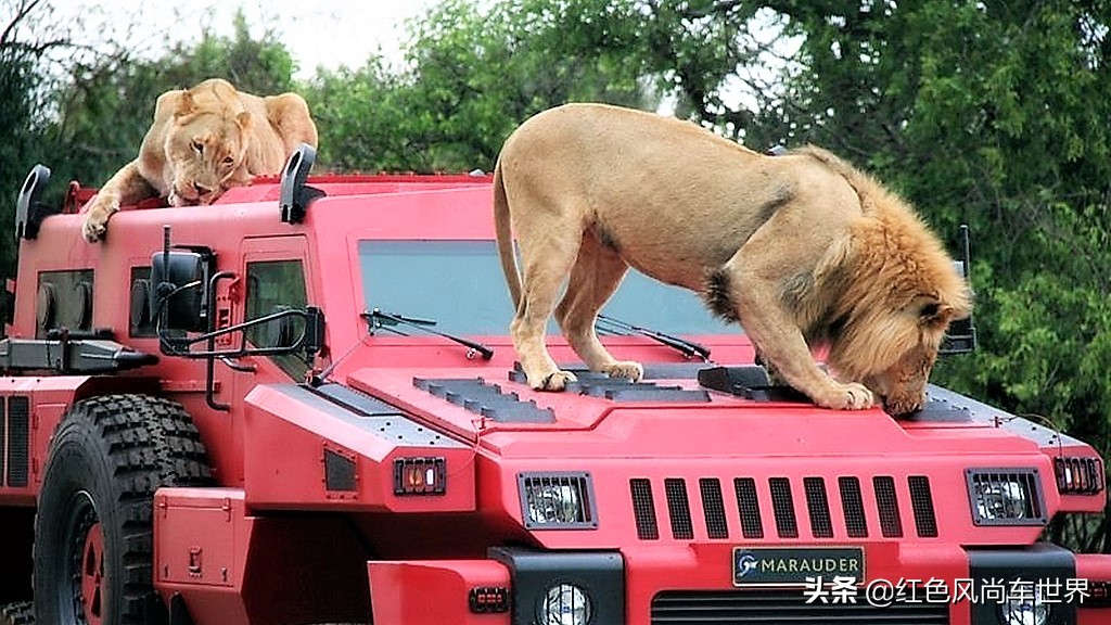 派拉蒙掠夺者汽车的越野性有多强,最安全的车派拉蒙掠夺者
