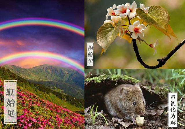 清明既是祭祖又是团聚,清明既是节气也是传统节日对不对